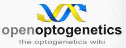 Openoptogenetics.png