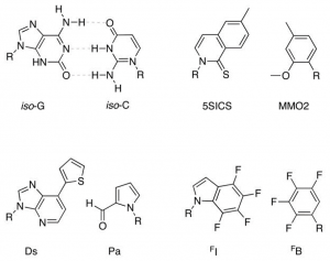 A collection of several non-canonical base pairs that have been developed[1]