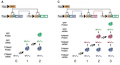 CH3913232014 Transcriptional counter.png