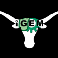 Austin UTexas logo.png