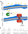 Figure3 chemotaxis.png