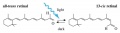 Retinal isomerization.jpg