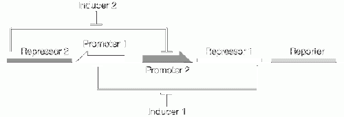 toggle-switch.gif