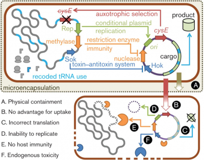 Illustration of various mechanisms for dependent control [2]